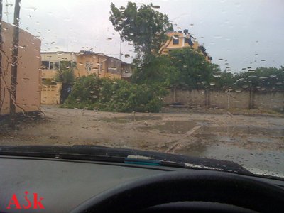 Fallen tree, fire street dar es salaam