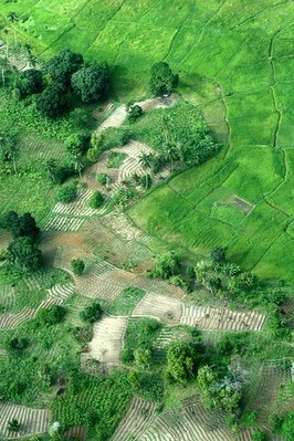 Pemba island aerial view